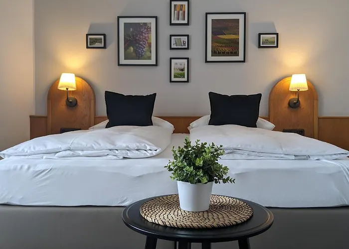 מלון Schlafgut Domhof Erleben Guntersblum